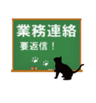 黒猫学生（個別スタンプ：4）