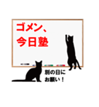 黒猫学生（個別スタンプ：15）