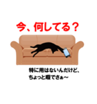 黒猫学生（個別スタンプ：16）