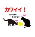 黒猫学生（個別スタンプ：25）