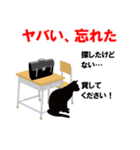 黒猫学生（個別スタンプ：34）