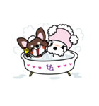 UG★DOGS（チワワ＆トイプードル編）（個別スタンプ：37）