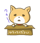 おすわり犬まめた（個別スタンプ：35）