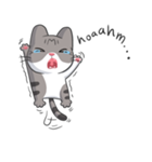 Meow the Tabby Cat（個別スタンプ：8）