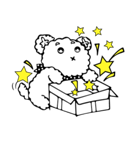 Choco Pie（個別スタンプ：39）