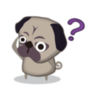 PUG's Life 01（個別スタンプ：25）