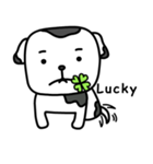 The Dog in the Box (English version)（個別スタンプ：12）