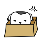 The Dog in the Box (English version)（個別スタンプ：13）