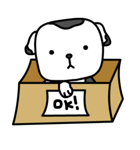The Dog in the Box (English version)（個別スタンプ：28）