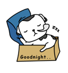 The Dog in the Box (English version)（個別スタンプ：34）