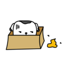 The Dog in the Box (English version)（個別スタンプ：40）