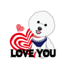 Bichon Frise (BOA)（個別スタンプ：1）