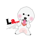 Bichon Frise (BOA)（個別スタンプ：2）