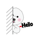 Bichon Frise (BOA)（個別スタンプ：4）