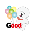 Bichon Frise (BOA)（個別スタンプ：7）