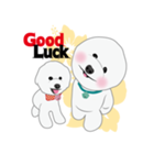 Bichon Frise (BOA)（個別スタンプ：8）