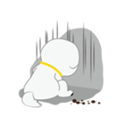 Bichon Frise (BOA)（個別スタンプ：9）