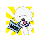 Bichon Frise (BOA)（個別スタンプ：18）