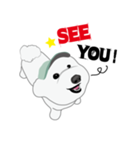 Bichon Frise (BOA)（個別スタンプ：21）