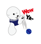 Bichon Frise (BOA)（個別スタンプ：24）