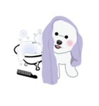 Bichon Frise (BOA)（個別スタンプ：26）