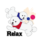 Bichon Frise (BOA)（個別スタンプ：34）