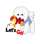 Bichon Frise (BOA)（個別スタンプ：35）