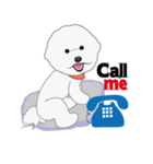 Bichon Frise (BOA)（個別スタンプ：38）