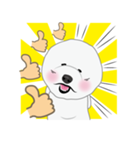 Bichon Frise (BOA)（個別スタンプ：40）