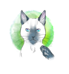 青い猫のスタンプ（個別スタンプ：2）