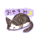 ぽちねこ（個別スタンプ：13）