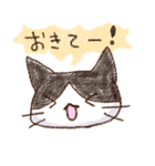 ぽちねこ（個別スタンプ：27）