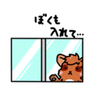 たぬきの親子（個別スタンプ：37）