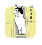 猫である。（個別スタンプ：33）