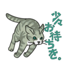 NO CAT NO LIFE サトヲ猫スタンプ2（個別スタンプ：5）