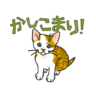 NO CAT NO LIFE サトヲ猫スタンプ2（個別スタンプ：18）