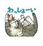 NO CAT NO LIFE サトヲ猫スタンプ2（個別スタンプ：23）