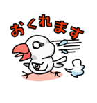 文鳥さんの365日（個別スタンプ：5）