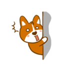 Love Corgi（個別スタンプ：4）