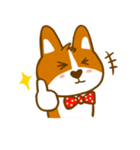 Love Corgi（個別スタンプ：11）