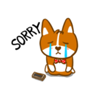 Love Corgi（個別スタンプ：12）