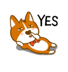 Love Corgi（個別スタンプ：14）