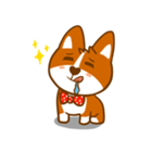 Love Corgi（個別スタンプ：30）