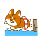 Love Corgi（個別スタンプ：33）