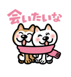 柴犬カップル（個別スタンプ：37）