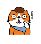 Plakem, the cat（個別スタンプ：9）