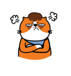 Plakem, the cat（個別スタンプ：12）