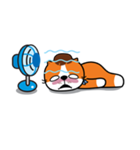 Plakem, the cat（個別スタンプ：16）