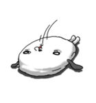 あのいぬ。（個別スタンプ：4）
