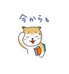 受験生 日本犬 マルちゃん3（個別スタンプ：6）
